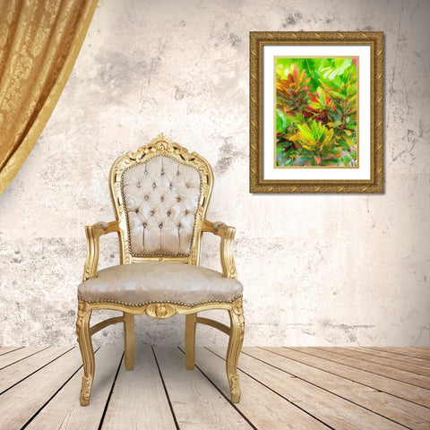 Hawaii-Maui-Kihei-Croton tropical and colorful leaf plant Gold Ornate Wood Framed Art Print with Double Matting by Gulin, Sylvia