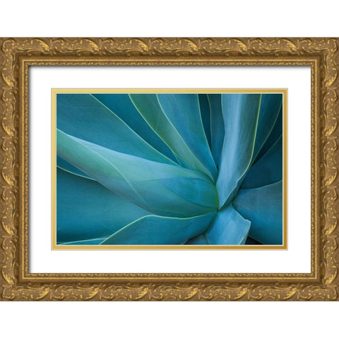 Hawaii-Maui-Kula-agave plant design Gold Ornate Wood Framed Art Print with Double Matting by Gulin, Sylvia