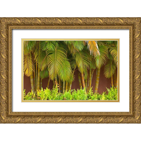 Hawaii-Maui-Kihei-Palm trees growing along wall Gold Ornate Wood Framed Art Print with Double Matting by Gulin, Sylvia