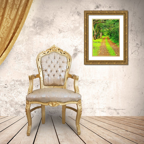 Hawaii-Kauai-gravel tree lined road Gold Ornate Wood Framed Art Print with Double Matting by Gulin, Sylvia
