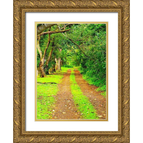 Hawaii-Kauai-gravel tree lined road Gold Ornate Wood Framed Art Print with Double Matting by Gulin, Sylvia
