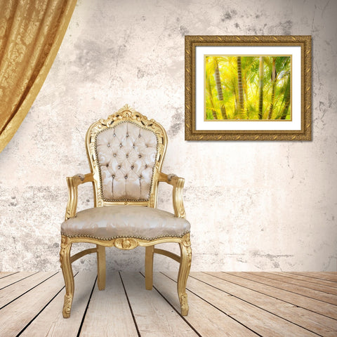 Hawaii-Maui-Up Country-Kula-Kula Botanical Gardens with small tropical palm trees Gold Ornate Wood Framed Art Print with Double Matting by Gulin, Sylvia
