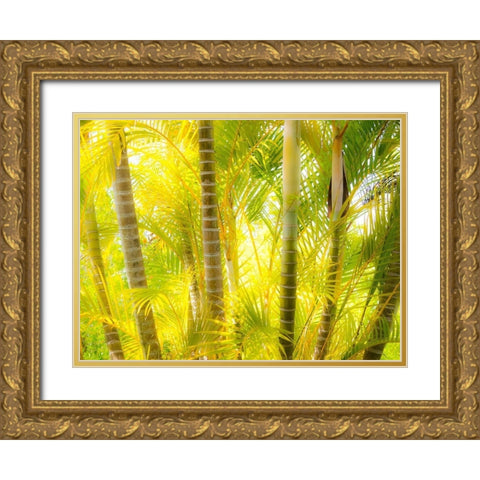 Hawaii-Maui-Up Country-Kula-Kula Botanical Gardens with small tropical palm trees Gold Ornate Wood Framed Art Print with Double Matting by Gulin, Sylvia