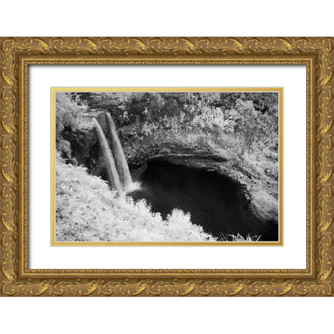 USA-Hawaii-Kauai-Infrared Island of Wailua Falls Kauai-HI, Gold Ornate Wood Framed Art Print with Double Matting by Eggers, Terry