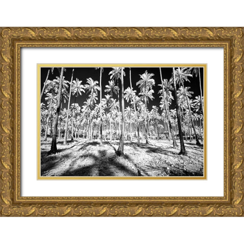 USA-Hawaii-Kauai-Infrared of palm trees of Kauai Gold Ornate Wood Framed Art Print with Double Matting by Eggers, Terry