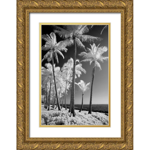 USA-Hawaii-Kauai-Infrared of palm trees of Kauai Gold Ornate Wood Framed Art Print with Double Matting by Eggers, Terry