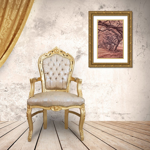 USA-Hawaii-Kauai-Infrared Island of rows of trees on Kauai Gold Ornate Wood Framed Art Print with Double Matting by Eggers, Terry