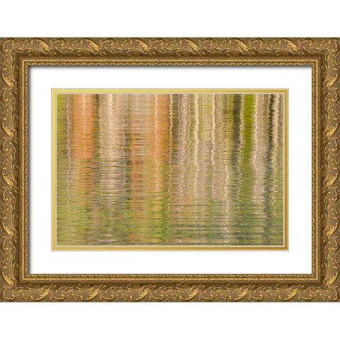 Idaho Fall reflections ripple on Redfish Lake Gold Ornate Wood Framed Art Print with Double Matting by Paulson, Don