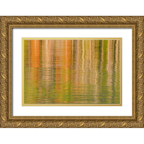 USA, Idaho Reflections on Redfish Lake Gold Ornate Wood Framed Art Print with Double Matting by Paulson, Don