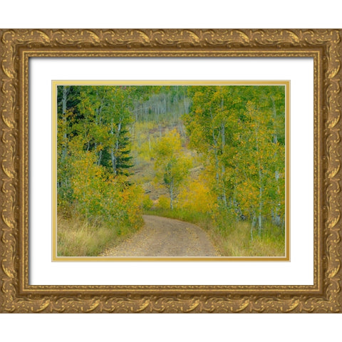 USA-Idaho-Highway 36 west of Liberty dirt road and Aspens in autumn Gold Ornate Wood Framed Art Print with Double Matting by Gulin, Sylvia