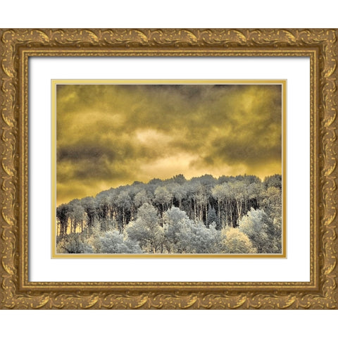 USA-Idaho-Aspens a with clouds Gold Ornate Wood Framed Art Print with Double Matting by Eggers, Terry