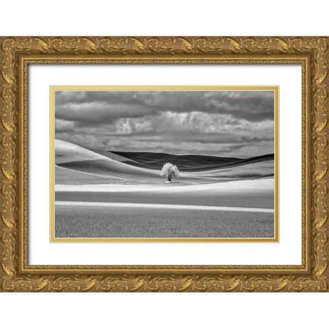 USA-Idaho-Palouse Country-Lone tree and Infrared Palouse fields Gold Ornate Wood Framed Art Print with Double Matting by Eggers, Terry