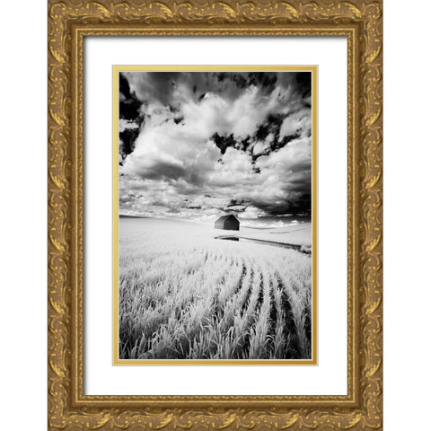 Infrared Palouse fields and barn-PR Gold Ornate Wood Framed Art Print with Double Matting by Eggers, Terry