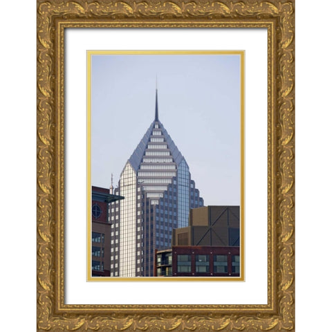 Illinois, Chicago Skyscrapers in downtown Gold Ornate Wood Framed Art Print with Double Matting by Flaherty, Dennis