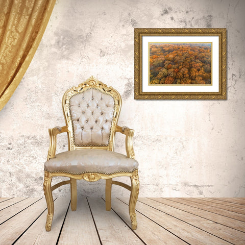Aerial View of fall Color at sunrise-Marion County-Illinois Gold Ornate Wood Framed Art Print with Double Matting by Day, Richard and Susan