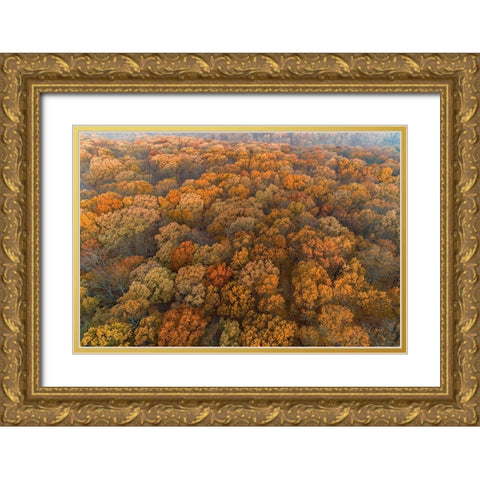 Aerial View of fall Color at sunrise-Marion County-Illinois Gold Ornate Wood Framed Art Print with Double Matting by Day, Richard and Susan