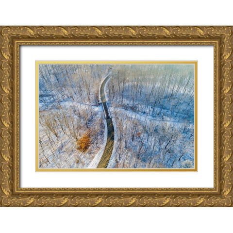 Aerial view of forest and road after snowfall in winter Stephen A Forbes State Recreation Area Gold Ornate Wood Framed Art Print with Double Matting by Day, Richard and Susan