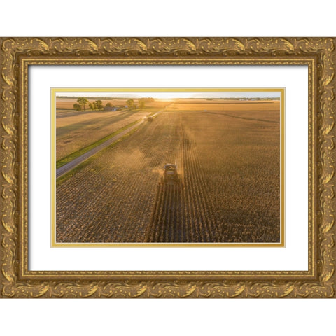 Aerial view of combine harvesting corn field at sunset-Marion County-Illinois Gold Ornate Wood Framed Art Print with Double Matting by Day, Richard and Susan