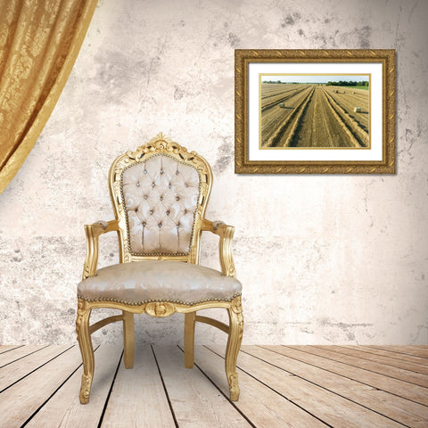 Aerial view of rows of wheat straw before baling and round bales-Marion County-Illinois Gold Ornate Wood Framed Art Print with Double Matting by Day, Richard and Susan