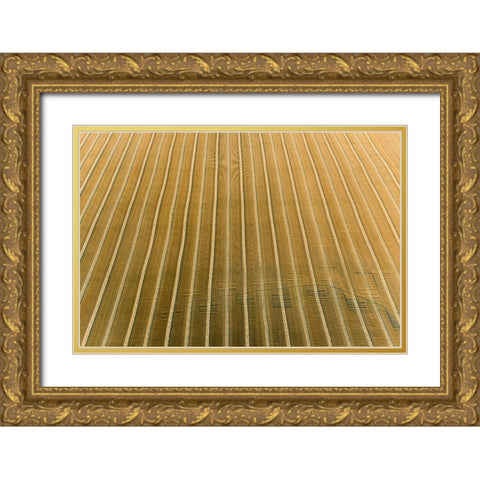 Aerial view of rows of wheat straw before baling-Marion County-Illinois Gold Ornate Wood Framed Art Print with Double Matting by Day, Richard and Susan