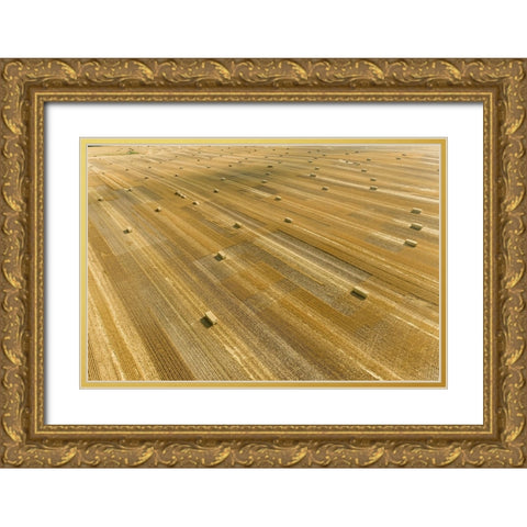Aerial view of large square bales of wheat straw in field-Clay County-Illinois Gold Ornate Wood Framed Art Print with Double Matting by Day, Richard and Susan