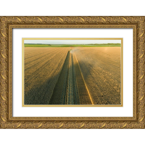 Aerial view of combine harvesting wheat at sunset-Marion County-Illinois Gold Ornate Wood Framed Art Print with Double Matting by Day, Richard and Susan