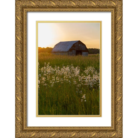 Old barn and field of penstemon at sunset Prairie Ridge State Natural Area-Marion County-Illinois Gold Ornate Wood Framed Art Print with Double Matting by Day, Richard and Susan