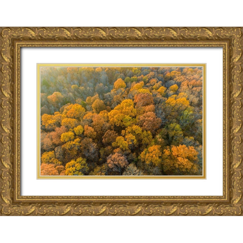 Aerial view of fall color-Marion County-Illinois Gold Ornate Wood Framed Art Print with Double Matting by Day, Richard and Susan