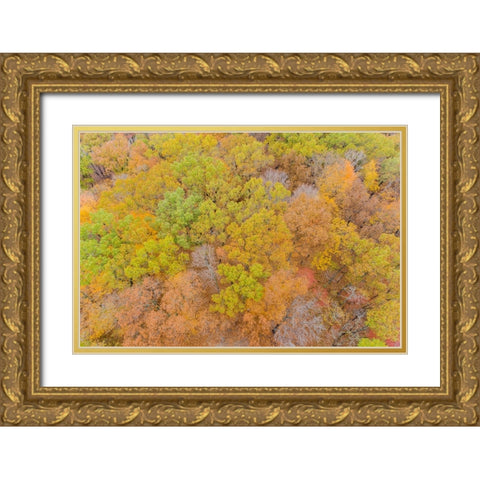 Aerial view of fall color-Marion County-Illinois Gold Ornate Wood Framed Art Print with Double Matting by Day, Richard and Susan
