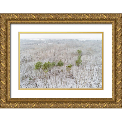 Aerial view of a fresh snow over the forest-Marion County-Illinois Gold Ornate Wood Framed Art Print with Double Matting by Day, Richard and Susan