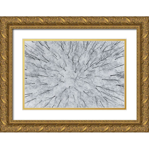 Aerial view of woods after a snowfall-Marion County-Illinois Gold Ornate Wood Framed Art Print with Double Matting by Day, Richard and Susan