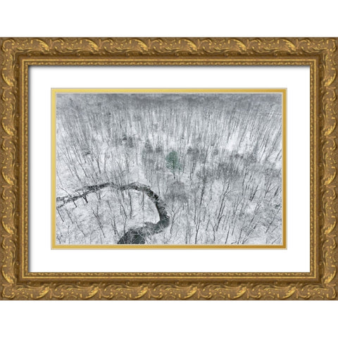 Aerial view of woods after a snowfall-Marion County-Illinois Gold Ornate Wood Framed Art Print with Double Matting by Day, Richard and Susan