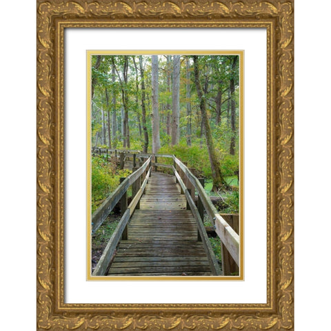 Wooden Boardwalk Trail-Twin Swamps Nature Preserve-Indiana-Midwest-USA Gold Ornate Wood Framed Art Print with Double Matting by Miller, Anna
