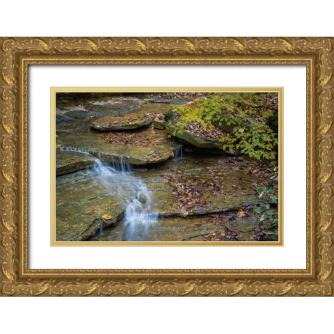 Rocky Ledges with Waterfall in Clifty Creek Park-Indiana Gold Ornate Wood Framed Art Print with Double Matting by Miller, Anna