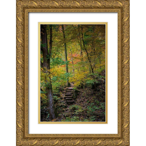 Trail Steps in Clifty Creek Park-Southern Indiana Gold Ornate Wood Framed Art Print with Double Matting by Miller, Anna
