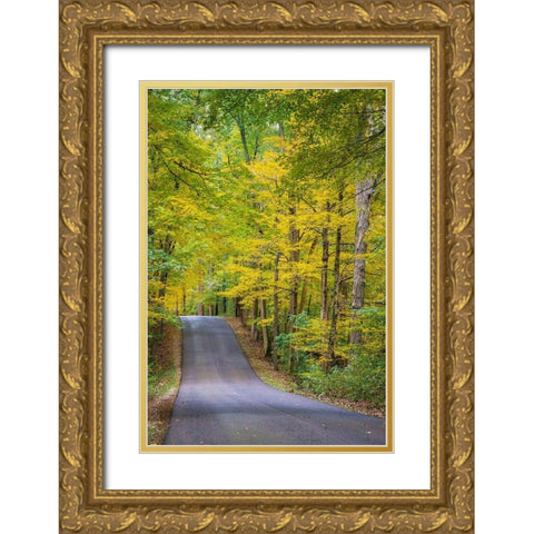Curvy Road in Clifty Creek Park-Southern Indiana Gold Ornate Wood Framed Art Print with Double Matting by Miller, Anna