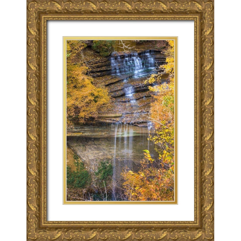 Fall Foliage Over Waterfall in Clifty Creek Park-Southern Indiana Gold Ornate Wood Framed Art Print with Double Matting by Miller, Anna