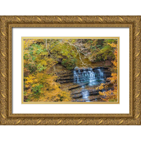 Fall Foliage Over Waterfall in Clifty Creek Park-Southern Indiana Gold Ornate Wood Framed Art Print with Double Matting by Miller, Anna