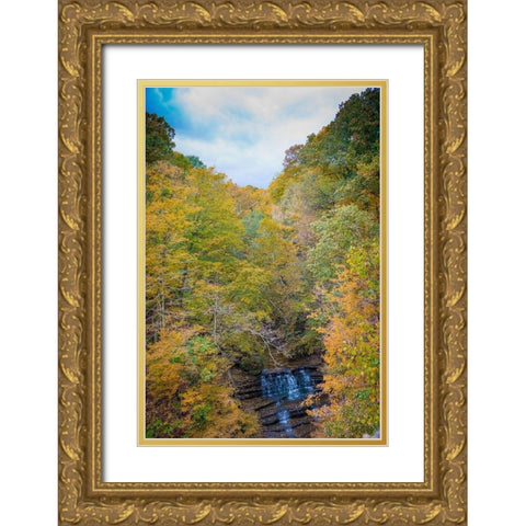 Fall Foliage Over Waterfall in Clifty Creek Park-Southern Indiana Gold Ornate Wood Framed Art Print with Double Matting by Miller, Anna