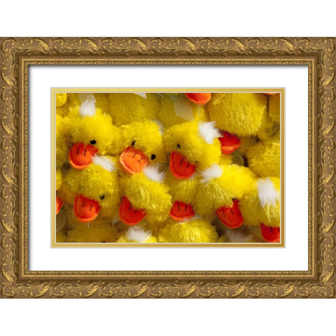 Indiana, Indianapolis Display of stuffed ducks Gold Ornate Wood Framed Art Print with Double Matting by Kaveney, Wendy