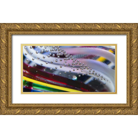 Indiana, Carmel Close-up of a glass paperweight Gold Ornate Wood Framed Art Print with Double Matting by Kaveney, Wendy