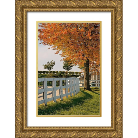 White fences-Keeneland race track-Lexington-Kentucky Gold Ornate Wood Framed Art Print with Double Matting by Jones, Adam