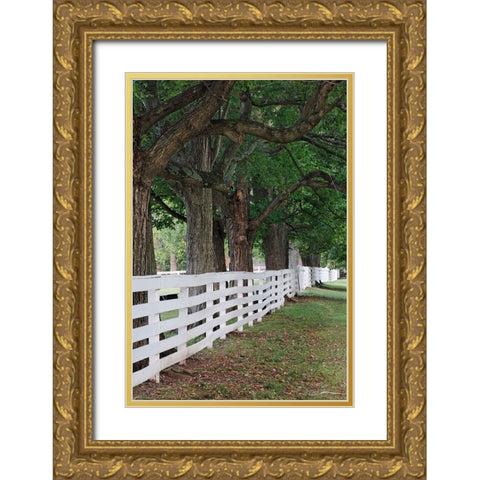 Gate and white wooden fence and overhanging trees-Shaker Village of Pleasant Hill Gold Ornate Wood Framed Art Print with Double Matting by Jones, Adam