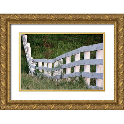 White wooden fence across rolling hill-Shaker Village of Pleasant Hill-Harrodsburg-Kentucky Gold Ornate Wood Framed Art Print with Double Matting by Jones, Adam