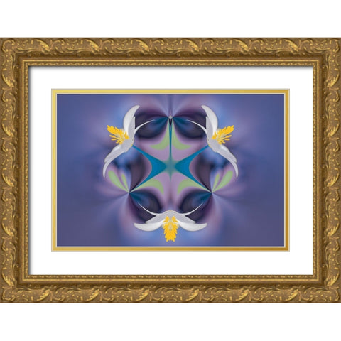 Bloodroot flower The Parklands-Louisville-Kentucky Gold Ornate Wood Framed Art Print with Double Matting by Jones, Adam