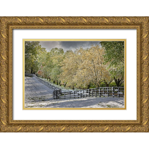 Light snow on trees in early spring-Louisville-Kentucky Gold Ornate Wood Framed Art Print with Double Matting by Jones, Adam