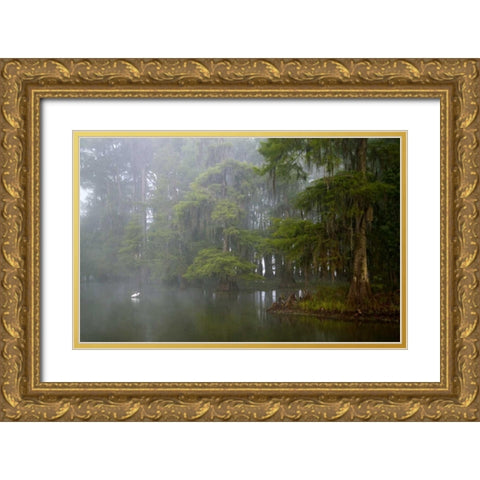 Louisiana, Lake Martin Great egret reflection Gold Ornate Wood Framed Art Print with Double Matting by Morris, Arthur