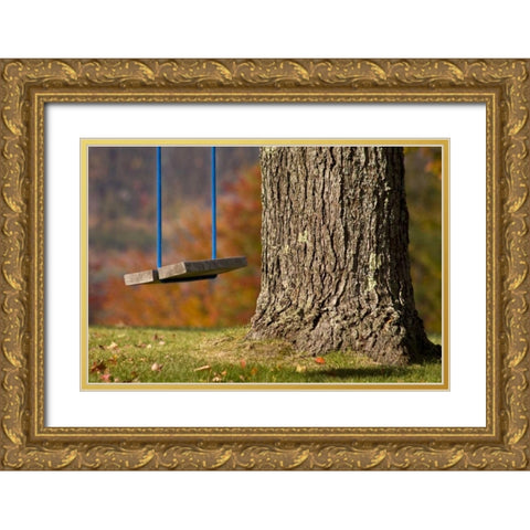 Maine, Bethel A wooden swing hangs from a tree Gold Ornate Wood Framed Art Print with Double Matting by Kaveney, Wendy