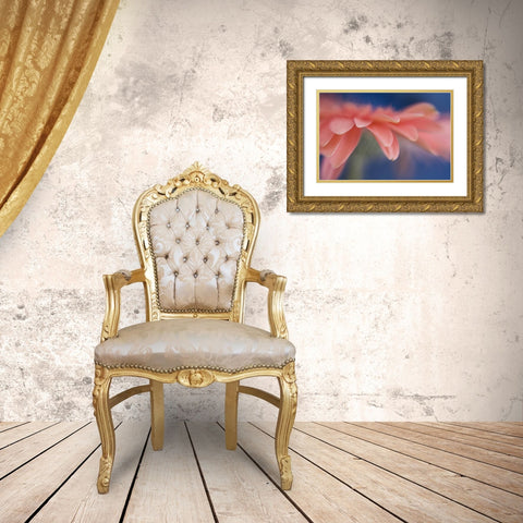 Maine, Harpswell Abstract of pink gerbera flower Gold Ornate Wood Framed Art Print with Double Matting by Clemons, Kathleen