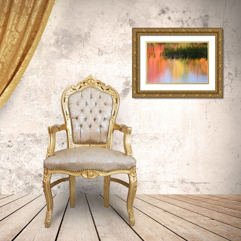 ME, South Paris Grasses growing in water in fall Gold Ornate Wood Framed Art Print with Double Matting by Kaveney, Wendy